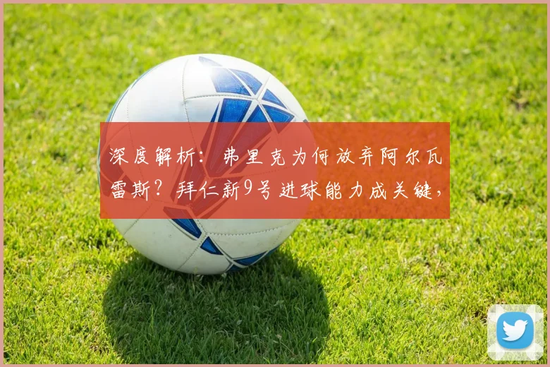 深度解析：弗里克为何放弃阿尔瓦雷斯？拜仁新9号进球能力成关键，引援策略大揭秘
